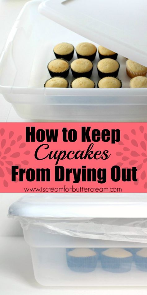 How To Keep Cupcakes Moist, How To Store Cupcakes To Stay Fresh, How To Transport Cupcakes, Transporting Cupcakes, Decorating Cupcakes, Cakes To Make, Cake Tips, Baking Hacks, Baking 101