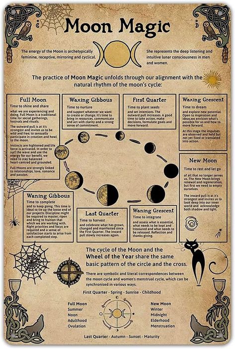 Moon Grimoire Page, Moon Grimoire, Herbs Magic, Knowledge Poster, Cooking Herbs, Calendar Book, Magic Herbs, Love Horoscope, Lunar Calendar