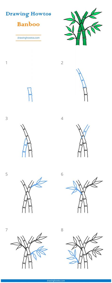 How To Draw Bamboo Step By Step, How To Draw Bamboo, Bamboo Drawing Simple, Bamboo Doodle, Panda Drawing Easy, Illusions Drawings, Optical Illusions Drawings, Bamboo Drawing, Faerie House