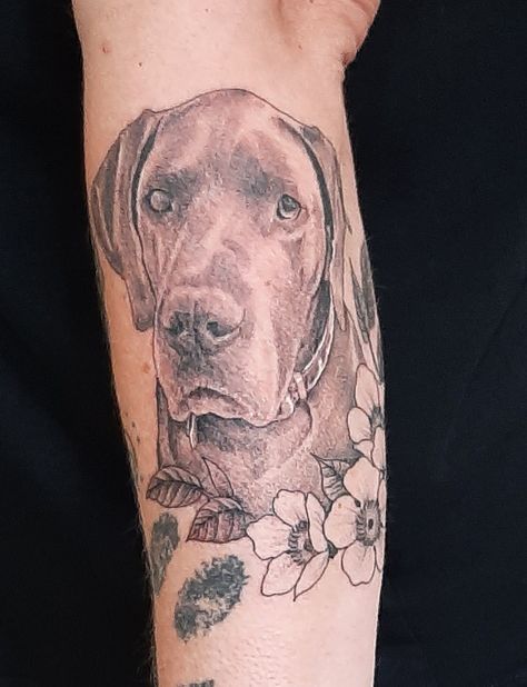 Great Dane Tattoo, Dog Memorial Tattoo, Memorial Tattoo Ideas, Dog Memorial Tattoos, Forearm Tattoo Women, Dane Dog, Great Dane Dogs, Memorial Tattoo, Memorial Tattoos