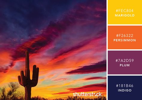 101 Color Combinations to Inspire Your Next Design – Arizona Sunset Color Palette Rainy Day Images, Sunset Color Palette, Arizona Sunset, Red Images, Sunset Color, Color Schemes Colour Palettes, Mood Colors, Sunset Colors, Color Profile