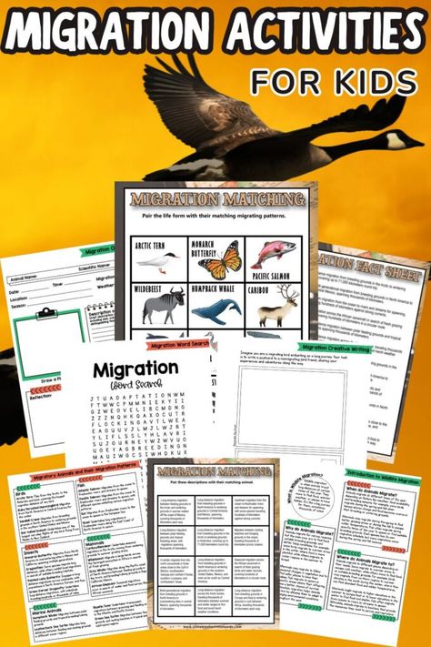 Migration Activities For Preschool, Migration Activities For Kids, Migration Preschool, Migration Activities, Animal Migration, Preschool Food, Birds For Kids, Pacific Salmon, Animal Adaptations