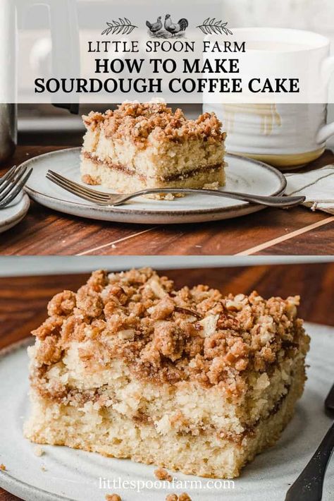 Sourdough Discard Coffee Cake Muffins, Sourdough Breakfast Cake, Sourdough Discard Coffee Cake, Sourdough Coffee Cake Recipe, Apocalypse Food, Sourdough Coffee Cake, Homemade Coffee Cake, Sourdough Breads, Pecan Crumble