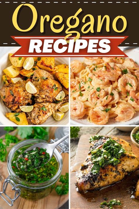 Uses For Fresh Oregano, Italian Oregano Recipes, Ways To Use Fresh Oregano, Fresh Oregano Recipes Chicken, What To Do With Fresh Oregano, Recipes Using Fresh Oregano, Oregano Recipes Fresh, What To Do With Oregano, Fresh Oregano Uses