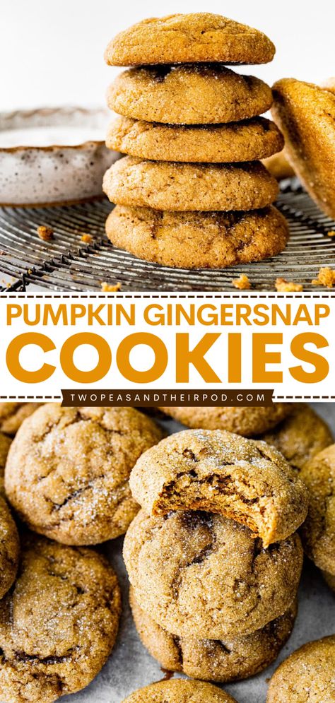 Looking for an easy pumpkin recipe? These Pumpkin Gingersnaps are soft, perfectly spiced, and full of flavor. Add this recipe to your favorite Thanksgiving sweet treats! Simple Fall Recipes, Pumpkin Molasses, Soft Gingersnap Cookies, Pumpkin Sweets, Ginger Snap Cookies Recipe, Pumpkin Breakfast Recipes, Easy Pumpkin Dessert, Gingersnap Cookies, Thanksgiving Sweet Treats