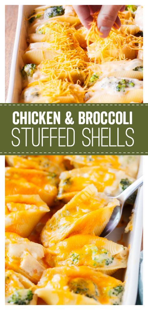 Broccoli Stuffed Shells, Broccoli And Chicken, Chicken Stuffed Shells, Family Projects, Chicken And Broccoli, Stuffed Shells Recipe, Dinner Meal, Food Kids, Vegan Kitchen