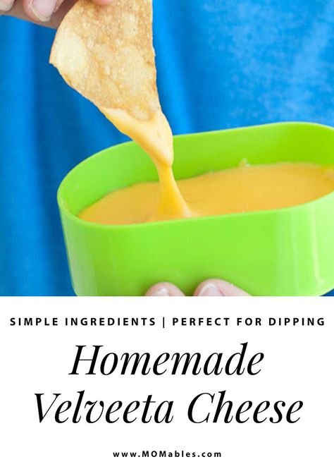 Velveeta Substitute, Velveeta Cheese Dip, Velveeta Cheese Sauce, Recipes With Velveeta Cheese, Homemade Velveeta, Cheese Making Recipes, Cheese Whiz, Homemade Cheese Sauce, Chile Recipes