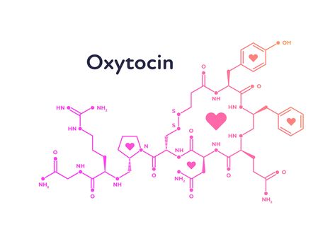 Oxytocin Tattoo, Oxytocin Hormone, Love Molecule, Chemistry Tattoo, Chemistry Teacher Gift, Lip Wallpaper, Chemistry Notes, Naturopathic Doctor, Milk Production