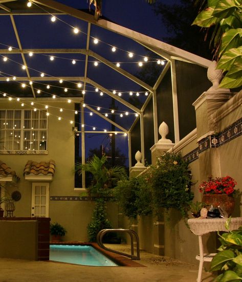 Pool Screen Lighting Ideas, String Lights Around Pool Cage, Pool Cage Solar Lights, Pool Enclosure Lighting, Palm Tree Solar Lights, Lanai Decorating, Pool Cage Lighting Sunset Scone Lights, Pool Cage, Florida Pool