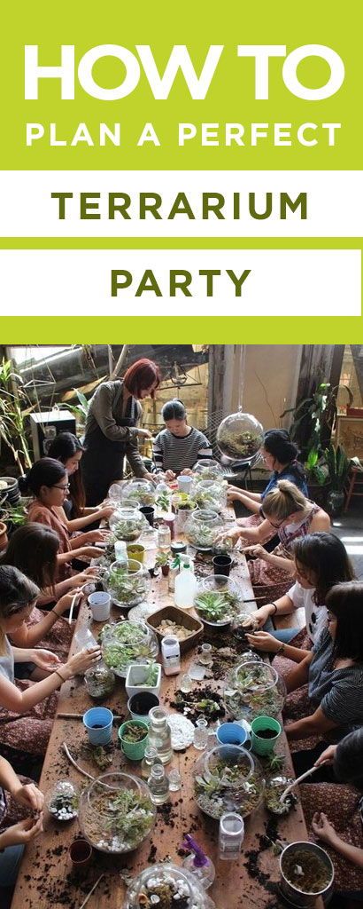 How to plan and host the perfect terrarium building party - inspirations and ideas for your own party! Build Your Own Terrarium Party, Diy Terrarium Party, Plant Birthday Party Ideas, Terrarium Workshop Ideas, Terrarium Party Ideas, Plant Swap Party Ideas, Terrarium Ideas For Kids, Plant Party Ideas, Terrarium Birthday Party