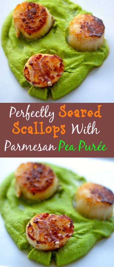 Perfectly Seared Scallops With Parmesan Pea Purée. A fancy but simple recipe for your family. Healthy dinner idea everyone will love. #scallops #dinner #healthyeating Scallops Dinner, Pea Puree, Seared Scallops, Easy Recipes For Beginners, Ditch The Carbs, Scallops Seared, New Years Resolutions, Low Carb Recipe, Local Grocery Store