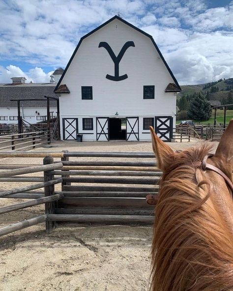 Ranch Lifestyle, Ranch Living, Ranches Living, Yellowstone Series, Cowboy Life, Country Barn Weddings, Farm Lifestyle, Rodeo Life, Horse Wallpaper