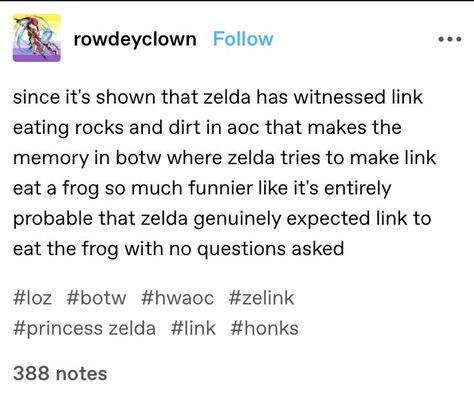 Zelink Headcanons, Link Loz, Gerudo Link, Nerd Memes, Legend Of Zelda Memes, Botw Zelda, Zelda Funny, Zelda Art, Legend Of Zelda Breath