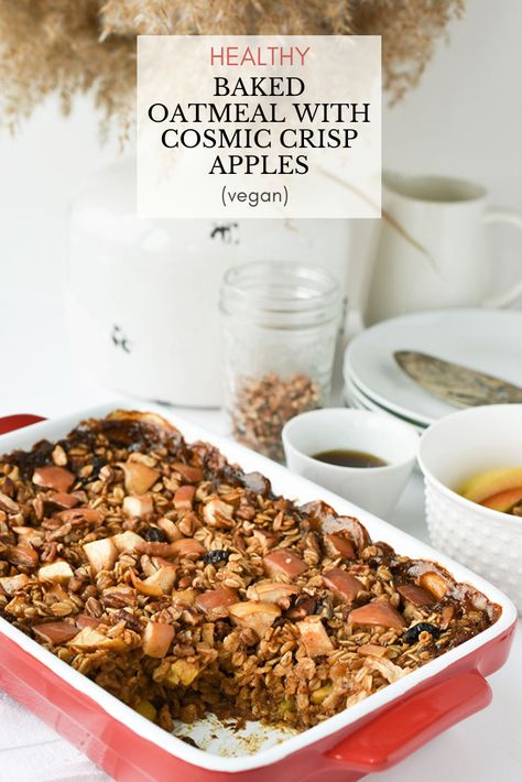 The image shows apple baked oatmeal in a red baking dish with a jar of pecans and a single serving of baked oatmeal in a bowl. Cosmic Apple Recipes, Apple Baked Oatmeal, Apple Recipes Easy Healthy, Cinnamon Baked Oatmeal, Best Apple Recipes, Baked Oatmeal Healthy, Apple And Cinnamon, Plantbased Recipes, Apple Recipes Easy