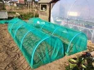 At this time of year, we all have new starts (Plug Plants) to go into the ground. Building a brassica cage helps to protect your… Frames Flowers, Hoop Frame, Runner Beans, Wood Drill Bits, Party Wall, Green House, Wood Screws, Kitchen Garden, Garden Spaces