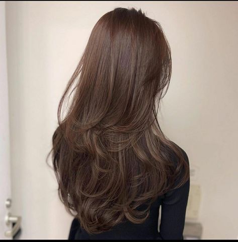 Korean Long Hair, Brown Hair Looks, Brown Hair Inspo, Hair Inspiration Long, Hairstyles For Layered Hair, Hair Stylies, Long Brown Hair, Haircuts For Medium Hair, Haircuts Straight Hair