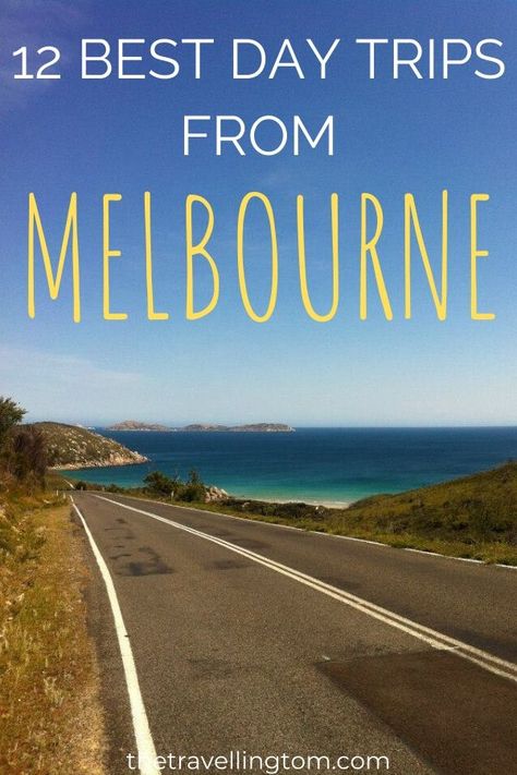 best day trips from Melbourne Australia Travel Bucket Lists, Melbourne Trip, Places In Melbourne, Australia Trip, Melbourne Travel, Australia Itinerary, Australia Travel Guide, Yarra Valley, Melbourne Victoria