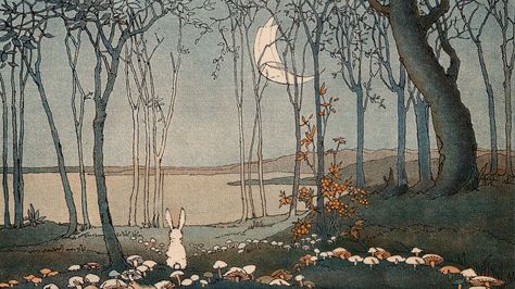 Velveteen Rabbit, Computer Backgrounds, Rabbit Art, Arte Inspo, Arte Sketchbook, Illustration Vintage, Art Et Illustration, Art And Illustration, Computer Wallpaper