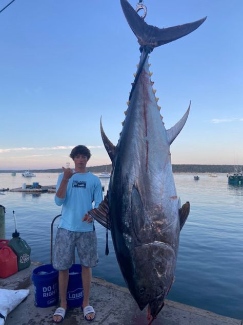 700-pound bluefin tuna off coast of Maine Century Tuna, Bluefin Tuna Fishing, Lots Of Fish In The Sea, Bluefin Tuna, Tuna Fishing, Giant Fish, Monster Fishing, Tuna Fish, Fishing Meme