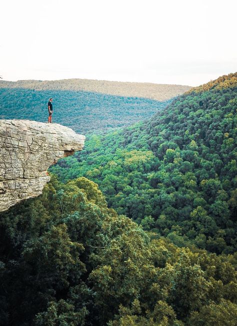 Whitaker Point Arkansas, Ozark National Forest Arkansas, Ouachita National Forest Arkansas, Ozark Arkansas, Ozark Mountains Arkansas, Ozarks Arkansas, Arkansas Ozarks, Plum Cobbler, Arkansas Waterfalls