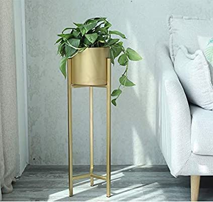 Floor Plant Stand, Indoor Balcony, Gold Floor, Support Pour Plante, Iron Planters, Living Room Plants, Nordic Living Room, Metal Plant Stand, Flower Pot Holder