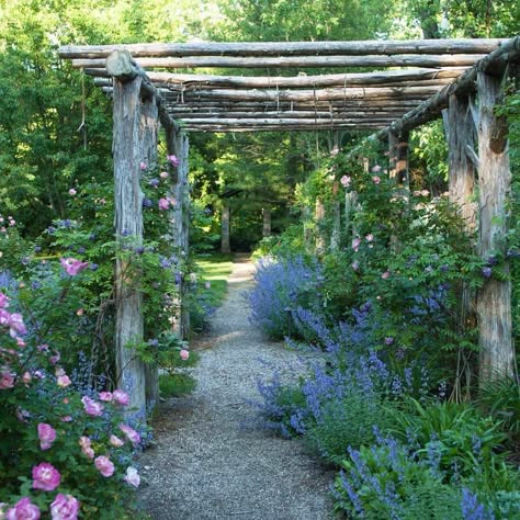 The Natural Garden Arbour: 5 Ideas for Creating Your Own | PITH + VIGOR by Rochelle Greayer Rustic Arbor, Rustic Pergola, Arbor Ideas, Garden Vines, Garden Arbor, Pergola Plans, Pergola Patio, Pergola Designs, Natural Garden