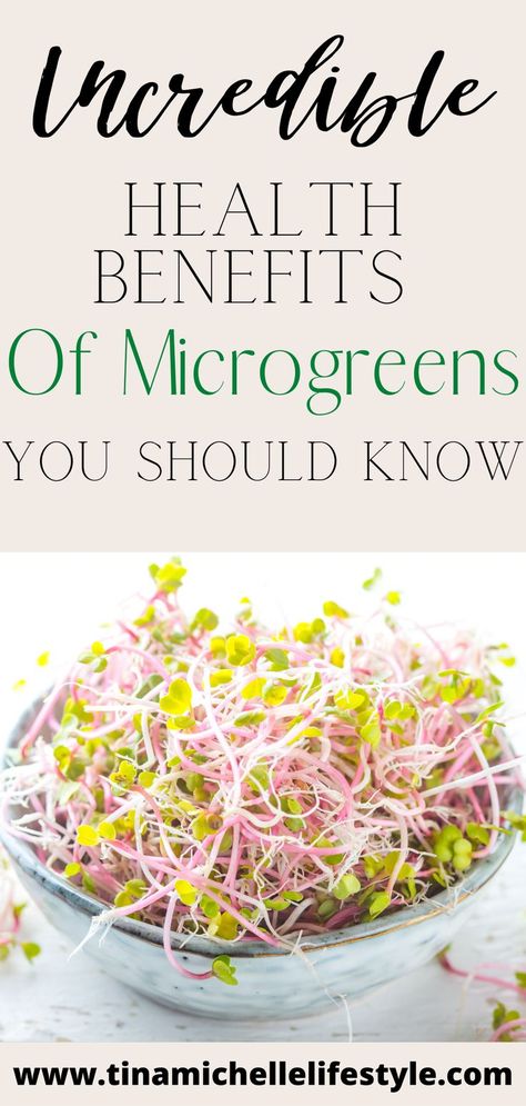 Incredible Health Benefits Of Microgreens You Should Know How To Eat Microgreens, Micro Greens Growing, Microgreens Benefits, Backyard Homesteading, Microgreens Recipe, How To Boost Your Immune System, Food Meal Prep, Clean Eating Lifestyle, Plants At Home