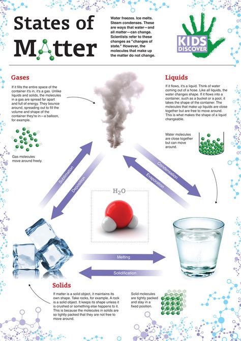 Changes in the State of Matter Infographic Download Matter For Kids, Changes In Matter, Science Diagrams, States Of Matter Worksheet, Matter Worksheets, Science Boards, Matter Science, Endocannabinoid System, 6th Grade Science