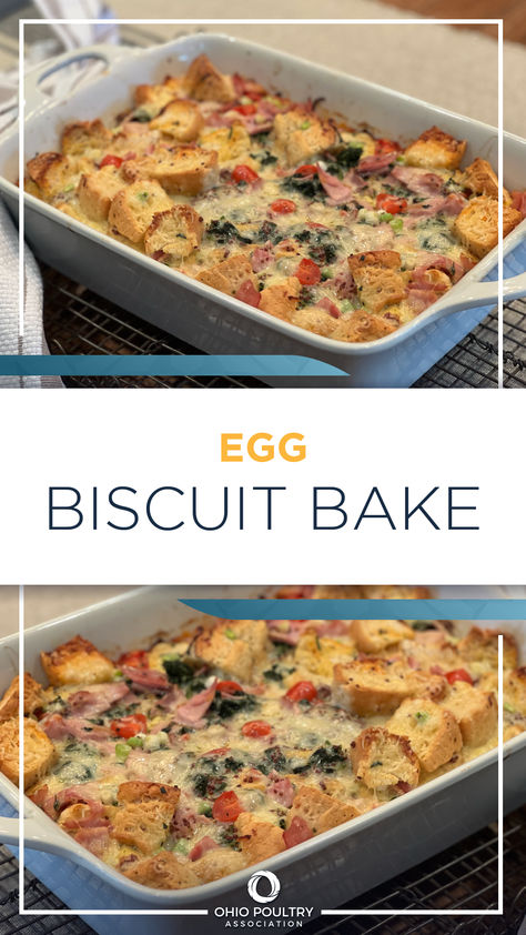 Have an upcoming potluck or just looking for a new easy-to-prep recipe? Our Egg Biscuit Bake is full of flavor without the hassle. Egg Biscuit Bake, Egg Biscuits, Holiday 2024, Biscuit Bake, Baking Recipe, Biscuit Recipe, Us Foods, Baking Recipes, Meal Prep