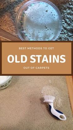 Best Methods To Get Old Stains Out Of Carpets #stains #stainremoval #carpets #oldstains Stains Out Of Carpet, Clean Hacks, Carpet Diy, Homemade Toilet Cleaner, Clean Baking Pans, Cleaning Painted Walls, Glass Cooktop, Deep Cleaning Tips, Clean Dishwasher