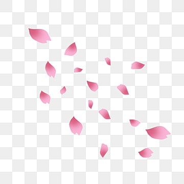 sakura petals,petals flying,petal,pink petals,flying petals,flying cherry petals,hand painted petals,simple petals,cartoon petals,floating material Sakura Cartoon Flower, Petals Drawing, Lil Tattoo, Petals In The Wind, Pink Flower Petals, Plant Reference, Black Sakura, Sakura Petals, Png Material