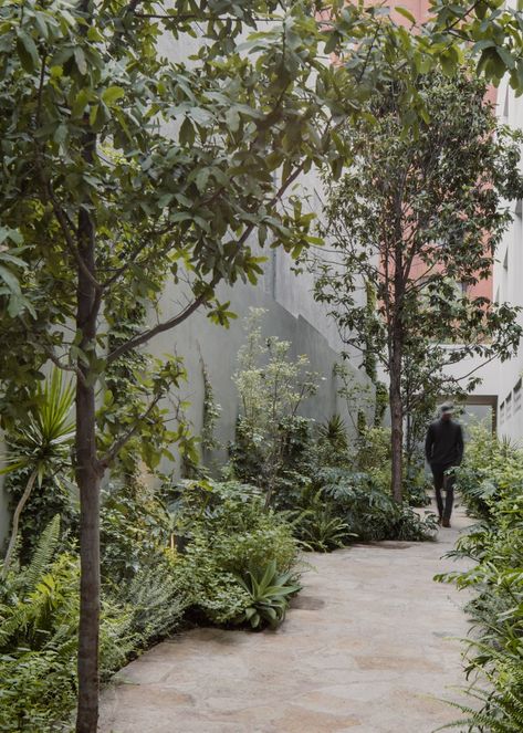 Cuartopiso and Barragán wrap Mexican apartment in planted balconies Mexican Apartment, Courtyard Plants, Mexican Garden, Green Apartment, Lake Garden, Apartment Plants, Retreat House, Balcony Plants, Garden Architecture