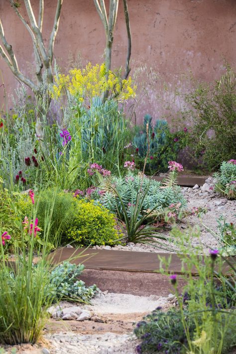 Show Gardens - RHS Chelsea 2018 — Sarah Price Landscapes Gravel Gardens, Sarah Price, Planting Combinations, Mediterranean Garden Design, Grass Landscape, Seaside Garden, Ornamental Grass, Dry Garden, Australian Garden