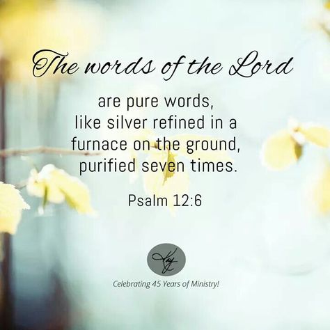 Psalm 12:6 I am purified 7 times too thank you Spirit Of Discernment, Psalm 12, Wisdom Bible, Daily Bible Verses, Word Of Faith, Morning Greetings Quotes, How He Loves Us, Pep Talks, Daily Bible Verse