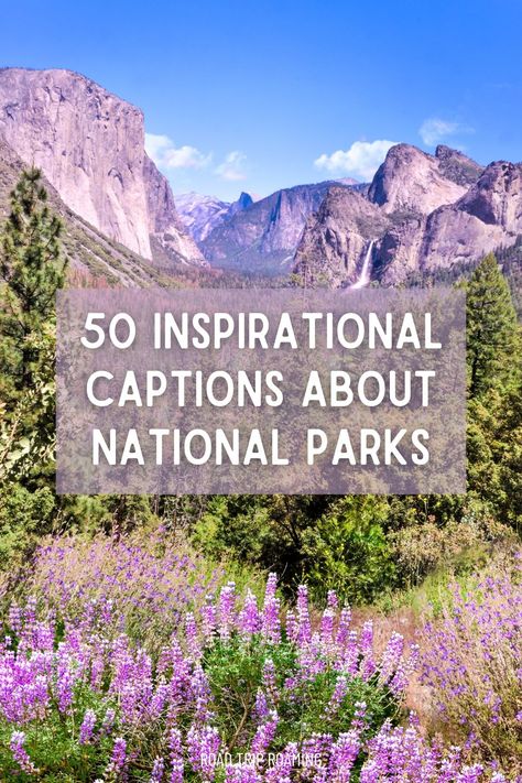 50 Inspirational Captions About National Parks National Park Quotes, Camping Hiking Outfit, Midwest Hiking, New Orleans Quotes, Inspirational Captions, Inspiring Captions, Park Quotes, Mesa Verde National Park, Cute Instagram Captions