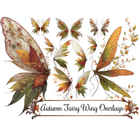 Celtic Fairies, Autumn Fairy Aesthetic, Woodland Fairy Wings, Fantasy Autumn, Orange Fairy, Leaf Wings, Wings Fairy, Fall Fairy, Fantasy Party