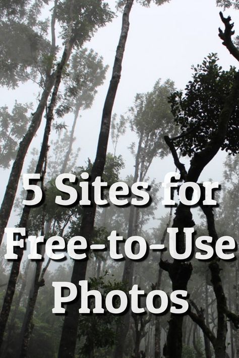 5 sites to download free photos, moderna and vintage, that you can use in your junk journal, blog posts, websites, and digital art projects. #freevintageimage #copyrightfreeimages #publicdomainimages #junkjournalephemera #junkjournalimages #howtofindfreeimages #digitalart #poppiness #printables Free Pictures To Use, Public Domain Images Vintage, Free Use Images, Digital Art Projects, Copyright Free Photos, Journal Tutorials, Copyright Free Images, Frida Kahlo Art, Free To Use Images