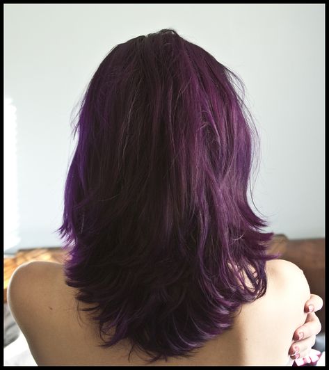 Pravana Violet, Violet Brown Hair, Pravana Vivids, Dark Purple Hair, Windows To The Soul, Violet Brown, Plum Hair, Wine Hair, Hair Tint