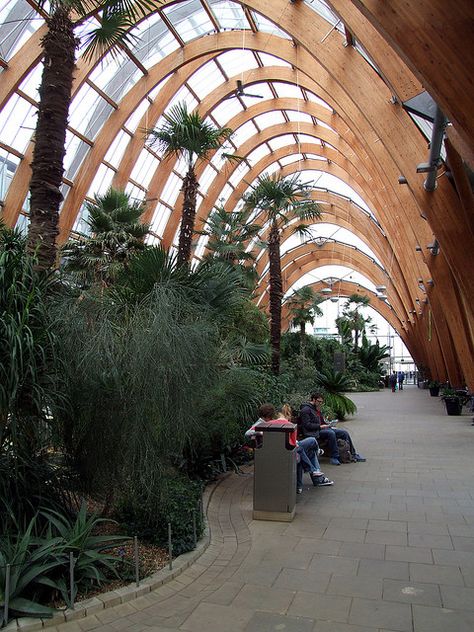 Sheffield Winter Gardens - Interior 02 (Glulam) by john stanbridge, via Flickr Glulam Structure, Glulam Beams, Winter Gardens, Art Galleries Design, Timber Architecture, Timber Buildings, Wood Building, Timber Structure, Canopy Design