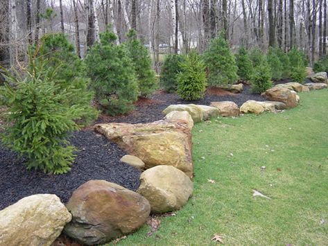 Large Yard Landscaping, Evergreen Landscape, Large Backyard Landscaping, Privacy Landscaping, Landscaping With Boulders, Front Landscaping, Magic Garden, Garden Shrubs, Large Yard