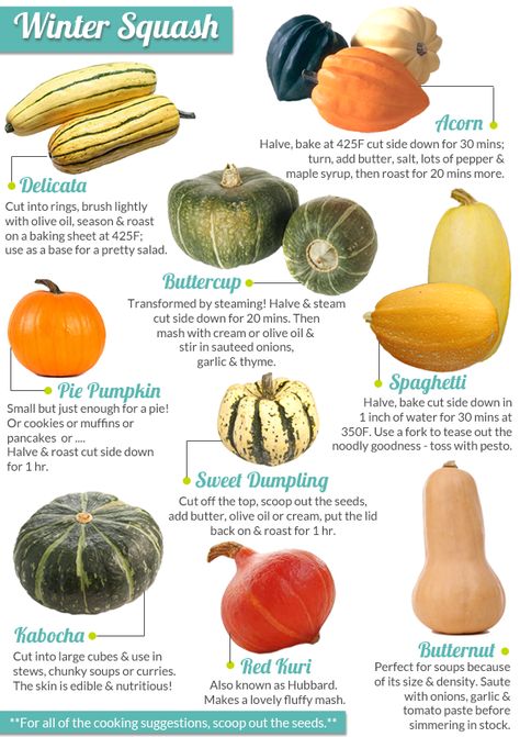 My Indian Roots: Squash & Kale Salad Types Of Squash, Plantarea Legumelor, Winter Squash Recipes, Food Info, Winter Squash, Squash Recipes, Food Facts, Veggie Dishes, Vegetable Dishes