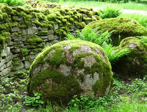 Mossy Boulder, Moss On Stone, Moss On Rocks, Stone With Moss, Mossy Stone, Moss Rocks, Environment Photography, Rock Cover, Rock Photography