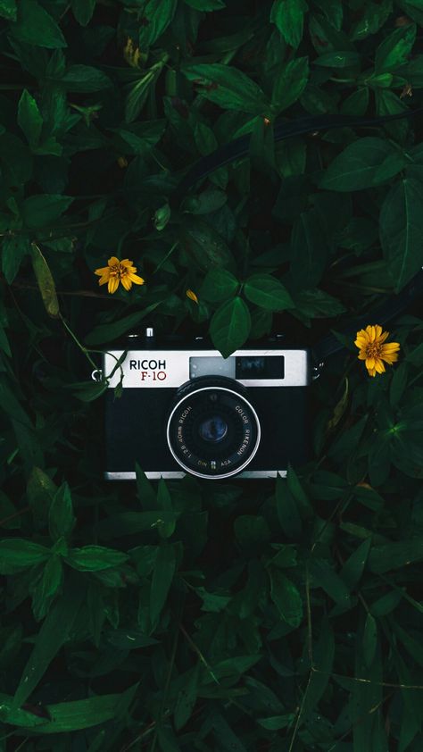 Authentic Aesthetic Vintage, Camera Wallpaper Aesthetic, Camera Wallpaper Photographers, Camera Wallpaper Iphone, Camera Aesthetic Wallpaper, Photography Phone Wallpaper, Photographer Wallpaper, Technology Drawing, Photographer Equipment