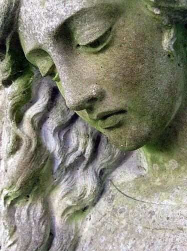 Everything has beauty, but not everyone sees it.  -- Confucius On The Wings Of Love, Cemetery Angels, Cemetery Statues, Genoa Italy, Angel Sculpture, Cemetery Art, Angel Statues, Genoa, Sculptures & Statues