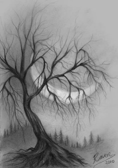 Landscape Pencil Drawings, Nature Art Drawings, Charcoal Drawings, Charcoal Art, White Drawing, Pencil Sketches, Pencil Art Drawings, Black And White Drawing, Tree Drawing