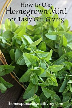 Fresh homegrown mint stems in a basket. Preserving Mint, Preserving Herbs, Indoor Herb, Types Of Herbs, Herb Gardening, Mint Recipes, Food Medicine, Herbal Recipes, Herbs For Health