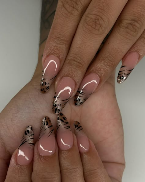 Cat eye ombre🐆🦓💫 Nail Design Cat Eye, Cat Eye French Tip Nails Square, French Tip Cat Eye Nails, Cat Eye Design Nails, Cat Eye Fall Nails, Cat Eye Ombre Nails, Red Cat Eye Nails Design, Ombre Cat Eye Nails, Cat Eye Nail Ideas