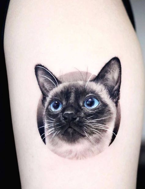 Realistic Cat Tattoo, Siamese Cat Tattoos, Cat Face Tattoos, Egyptian Cat Tattoos, Tattoo Gato, Watercolor Cat Tattoo, Cat Portrait Tattoos, Cat Tattoo Simple, Black Cat Tattoos