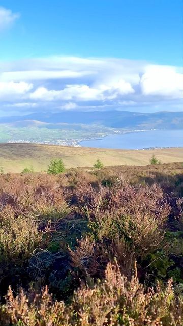 Jason Thomas on Instagram: "📍Black Mountain, Ravensdale, Co. Louth, Ireland #ireland # #irelandisbeautiful #irelandtravel #visitireland #discoverireland #travelphotography #louth #blackmountain #whildatlanticway #atlantic" Louth Ireland, Best Of Ireland, Visit Ireland, Black Mountain, Ireland Travel, British Isles, Travel Photography, On Instagram, Instagram