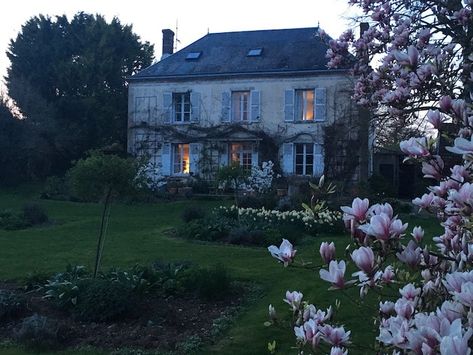 magnolia in flower in front of house with daffodils My French Country Home, Casa Country, Countryside House, French Cottage, French Chateau, French Countryside, French Country House, French House, Country Life